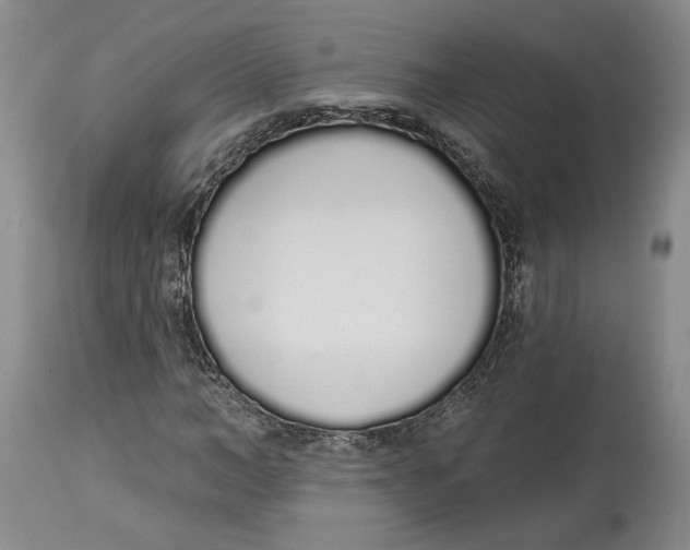 X0000114030966200910231855