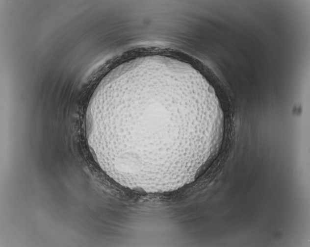 X0000114030967200910231855