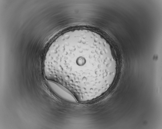 X0000114030969200910231855