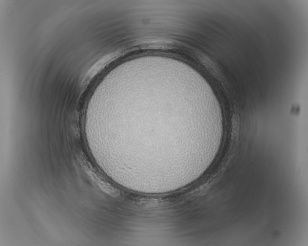 X0000114030970200910231855