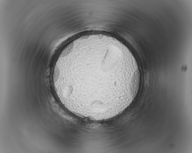 X0000114030971200910231855