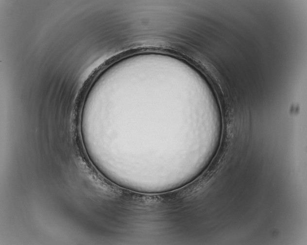 X0000114030975200910231855