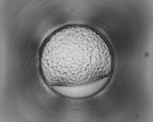 X0000114030981200910231855