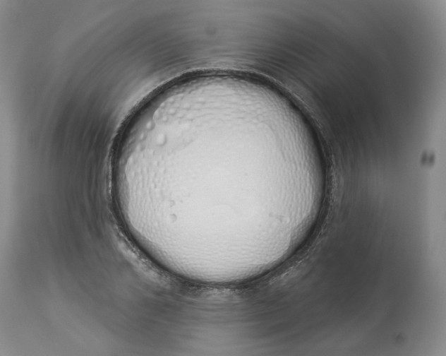 X0000114030982200910231855