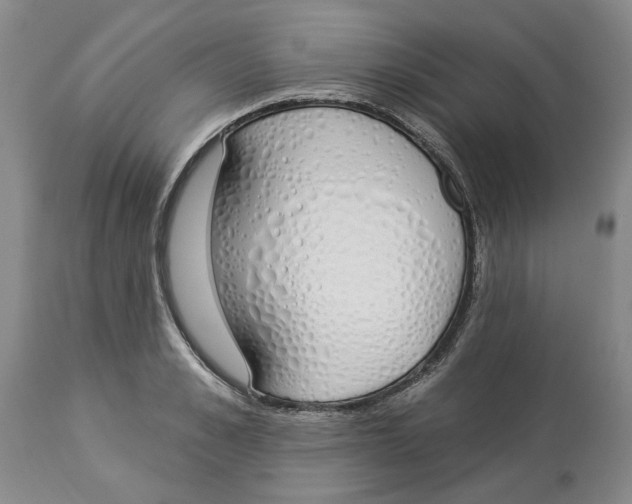 X0000114030989200910231855