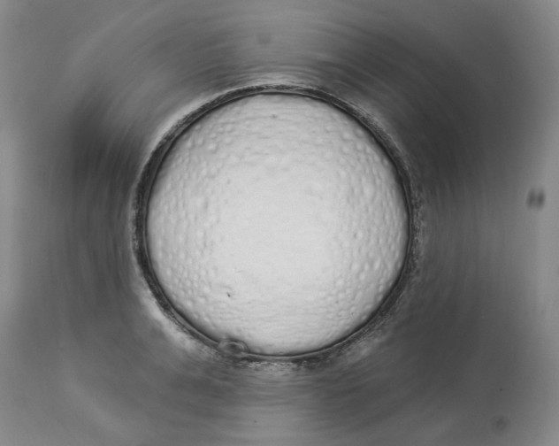 X0000114030991200910231855