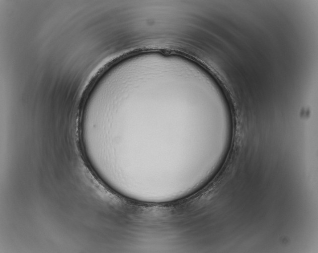 X0000114030992200910231855