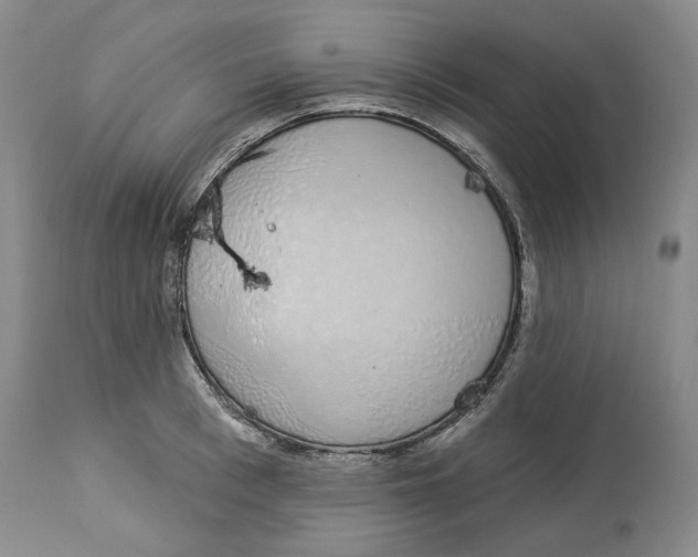 X0000114030993200910231855