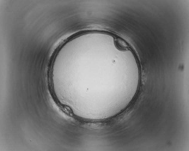 X0000114030995200910231855