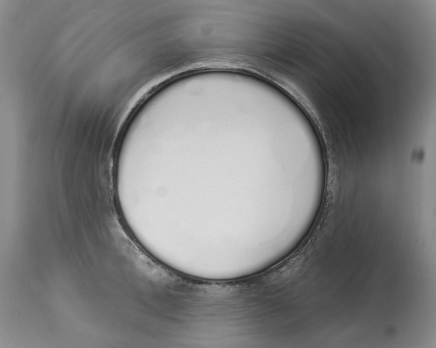 X0000114030996200910231855