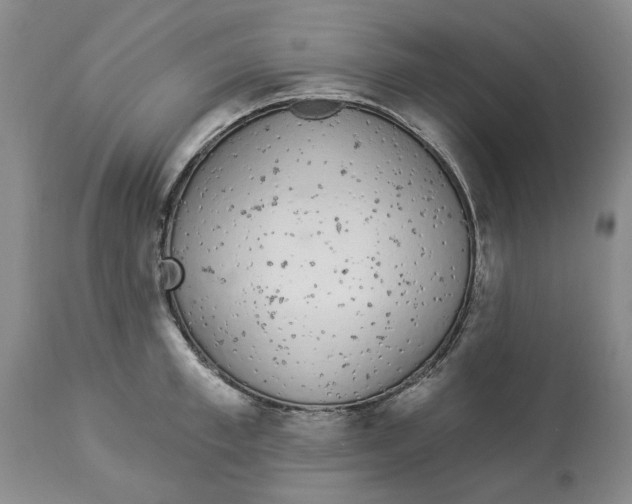 X0000114030997200910231855