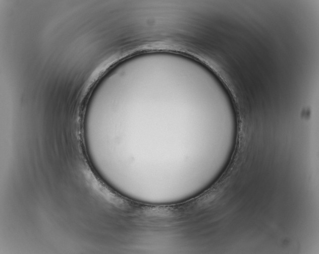 X0000114030998200910231855