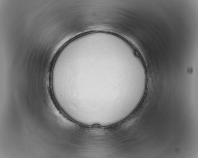 X0000114030999200910231855