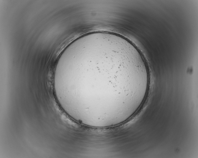 X0000114031001200910231855