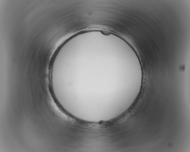 X0000114031003200910231855