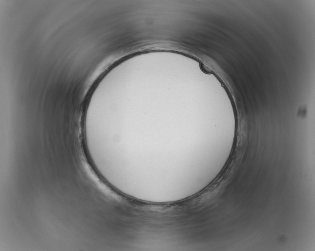 X0000114031005200910231855