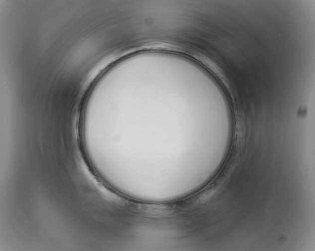 X0000114031007200910231855