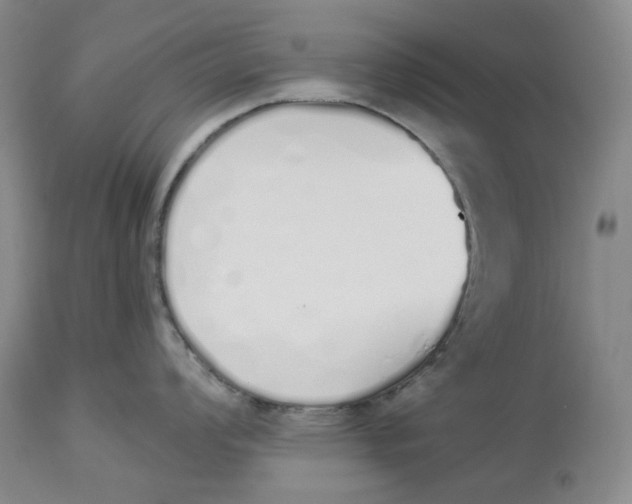 X0000114031008200910231855