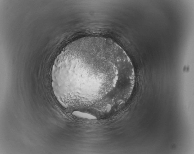 X0000114031009200910231854