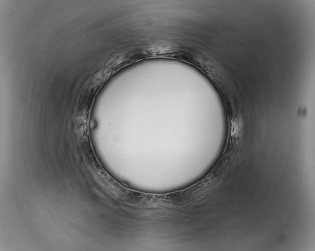 X0000114031011200910231854