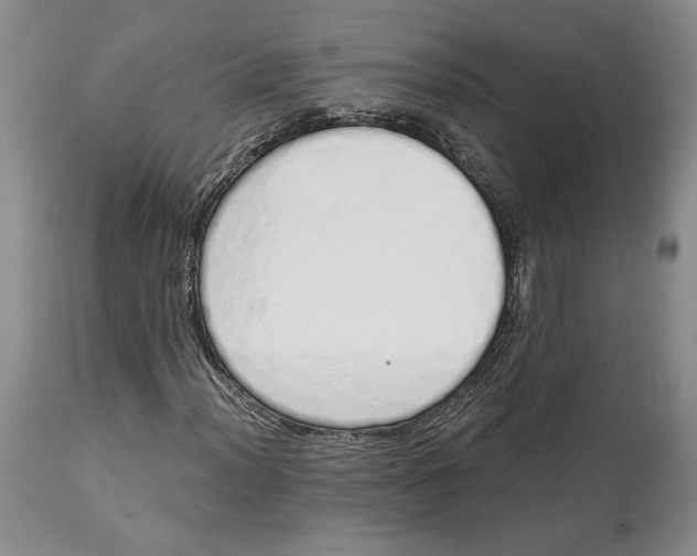 X0000114031012200910231854