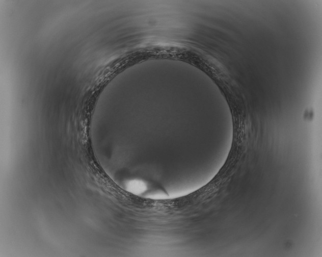 X0000114031013200910231854