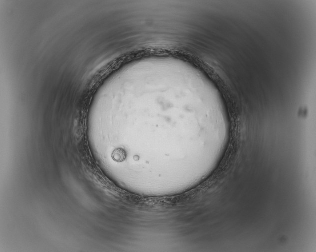 X0000114031015200910231854