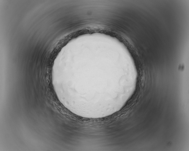 X0000114031016200910231854