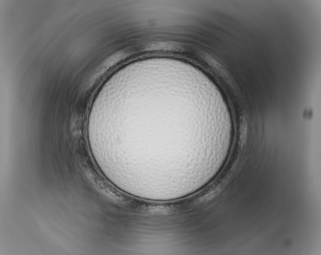 X0000114031017200910231854