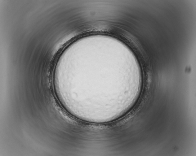 X0000114031018200910231854