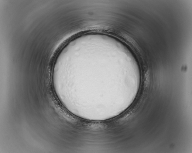 X0000114031021200910231854