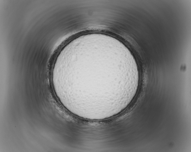 X0000114031022200910231854