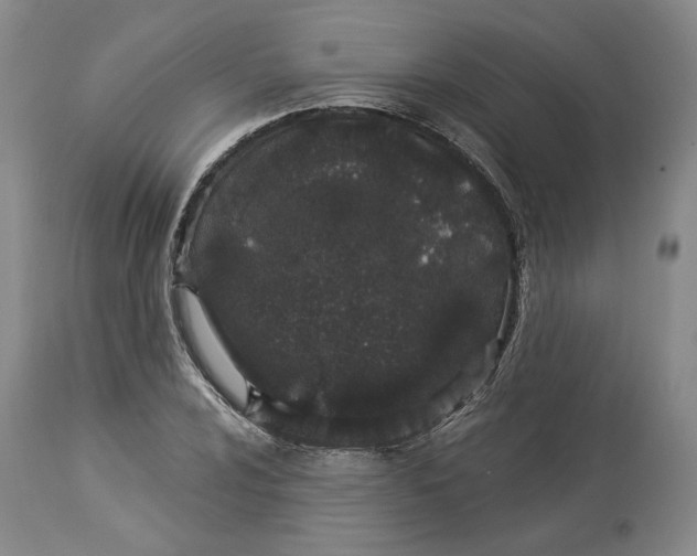 X0000114031024200910231854