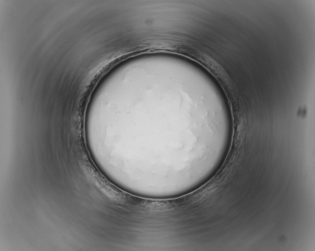 X0000114031027200910231854