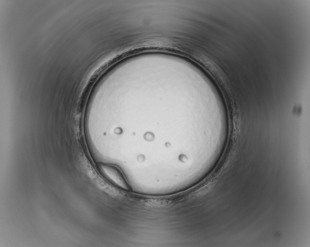 X0000114031029200910231854