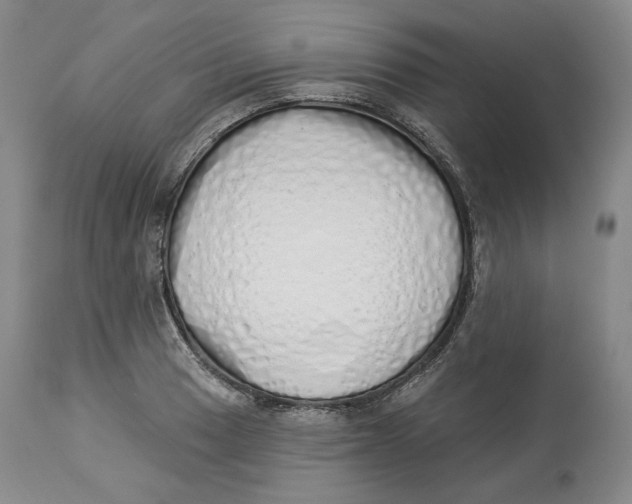 X0000114031033200910231854