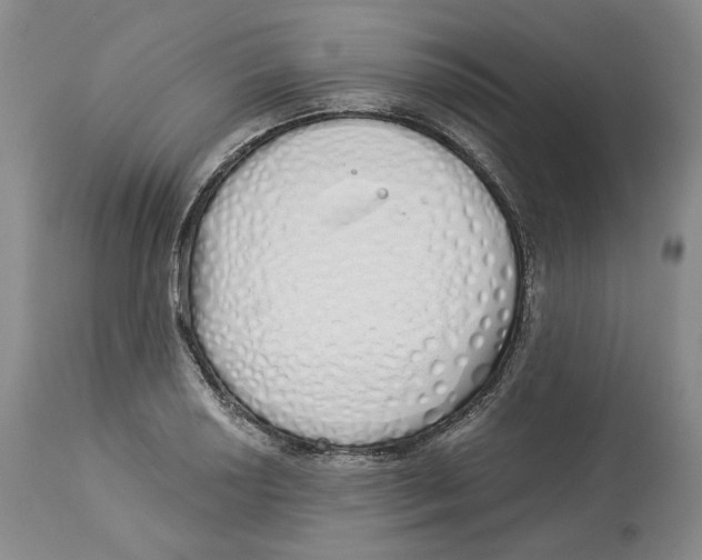 X0000114031034200910231854