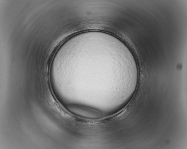 X0000114031035200910231854