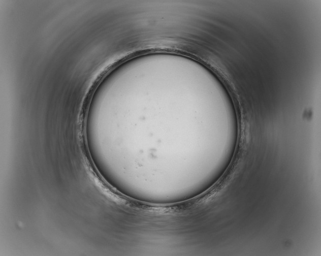 X0000114031037200910231854