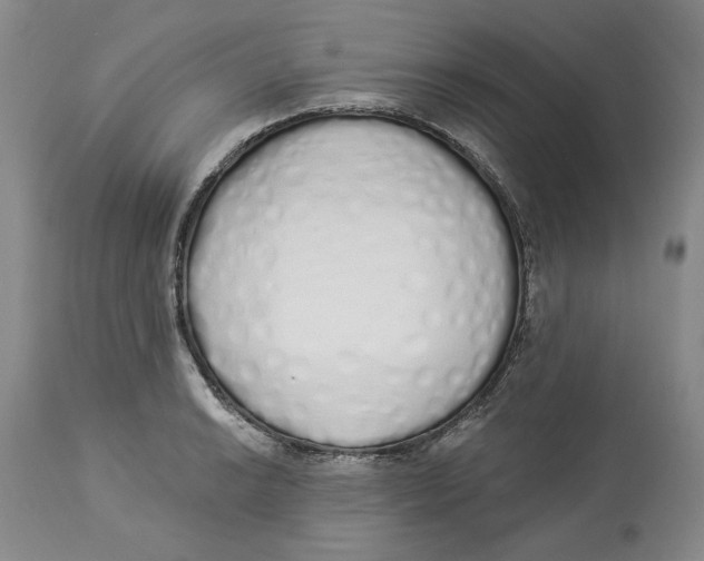 X0000114031038200910231854