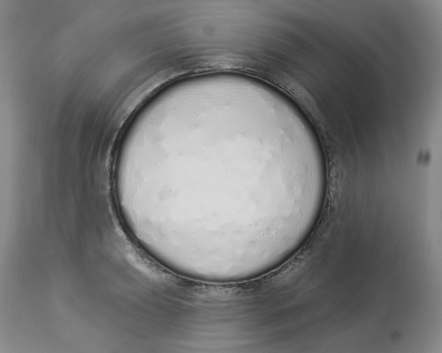 X0000114031039200910231854