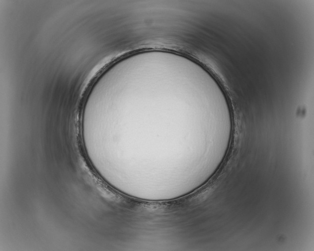 X0000114031040200910231854