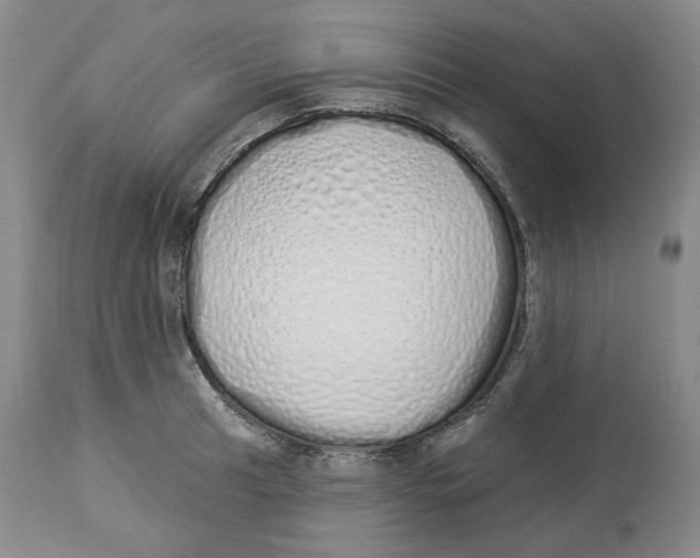 X0000114031041200910231854