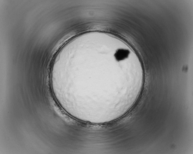 X0000114031042200910231855