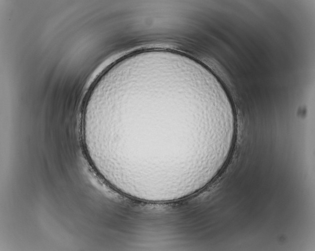 X0000114031044200910231855