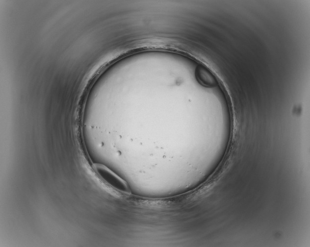 X0000114031045200910231855