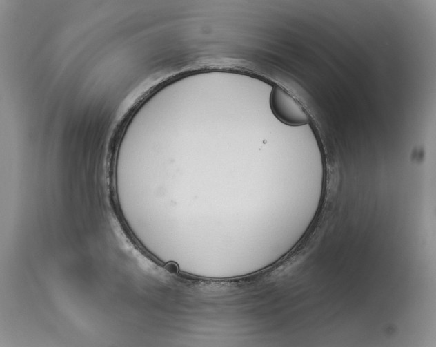 X0000114031046200910231855