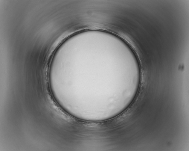 X0000114031048200910231855