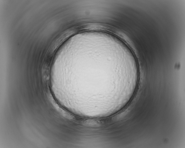 X0000114031049200910231855