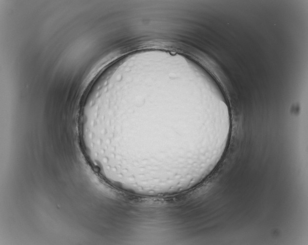 X0000114031050200910231855